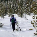 「冬ハイキング」の楽しみ方10選